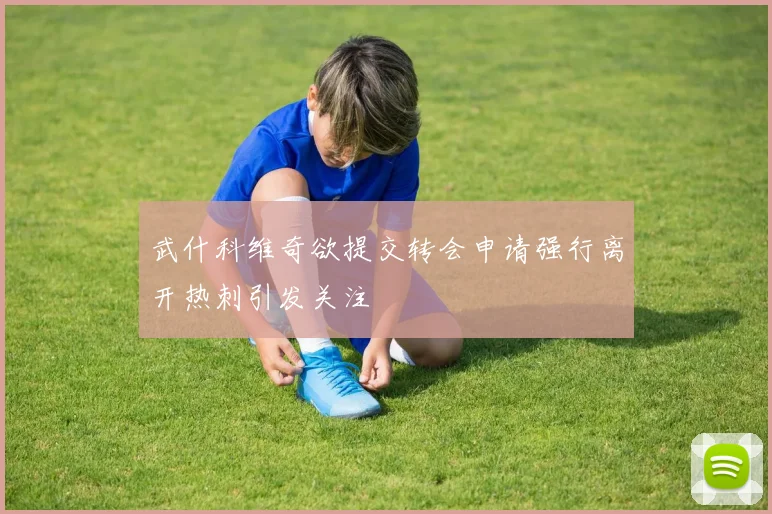 武什科维奇欲提交转会申请强行离开热刺引发关注